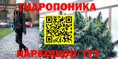 дживик Балахна