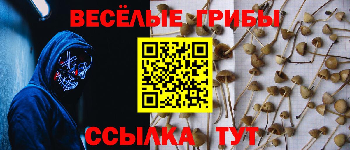 Псилоцибиновые грибы Magic Shrooms Белово