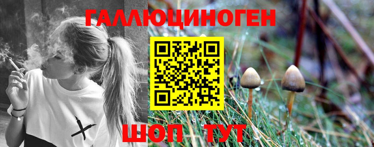 Псилоцибиновые грибы прущие грибы  Вход с VPN  Галлюциногенные грибы Magic Shrooms  Белово 